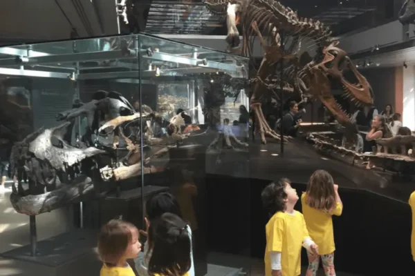 group of kids went to field trip at montana preschool